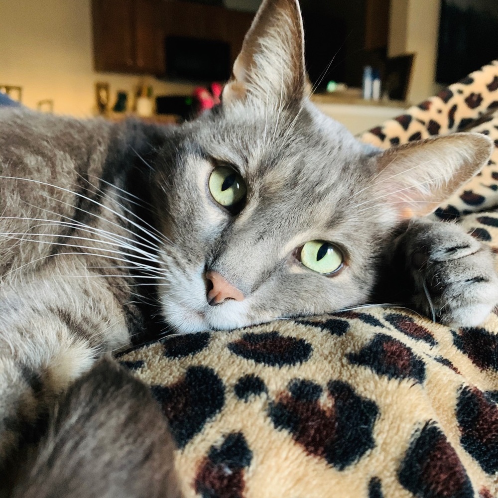 Meet your Posher, Brandy